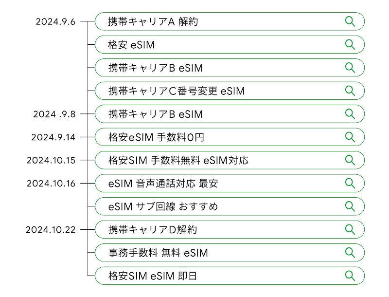 格安の eSIM ブランドを探している人の検索クエリ