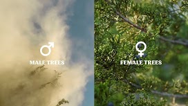 To boost brand sustainability stories-CTA1