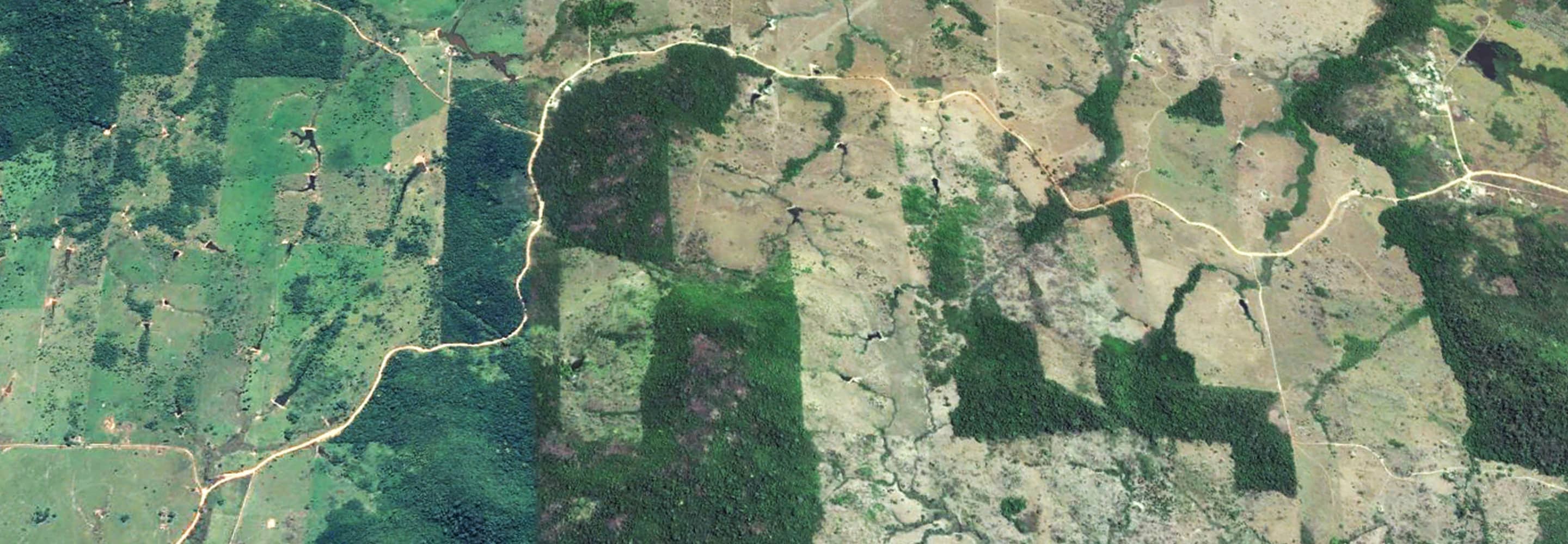 Aerial view of a green landscape