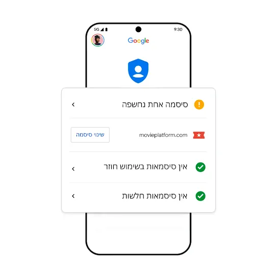 תמונה של טלפון Google עם פירוט של סיסמה שנחשפה.