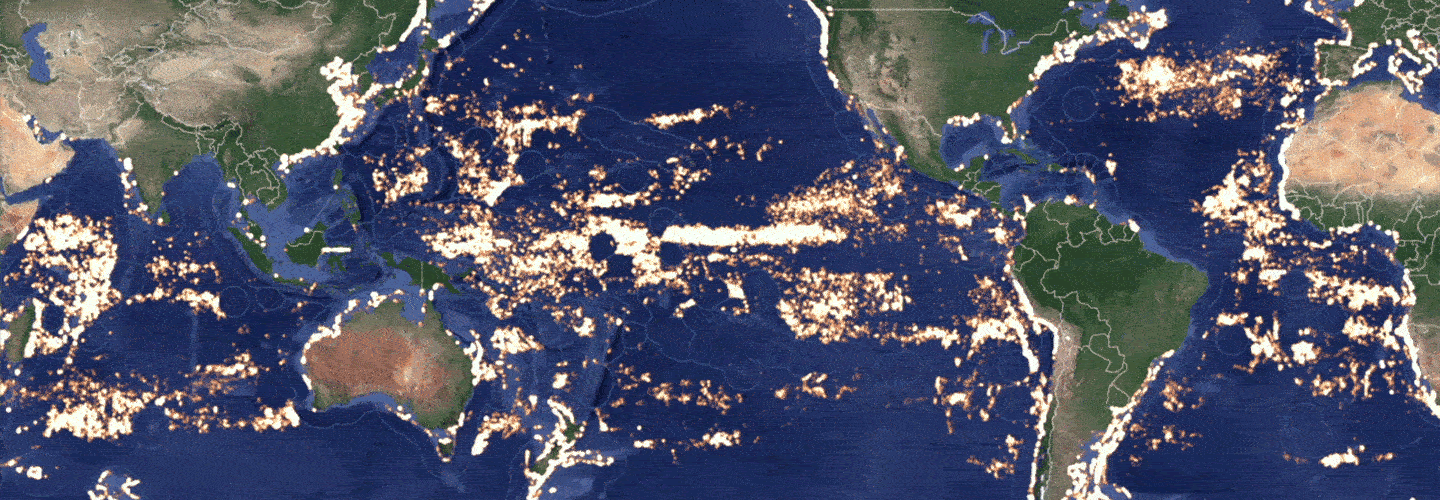 A data representation of illegal fishing in the ocean.