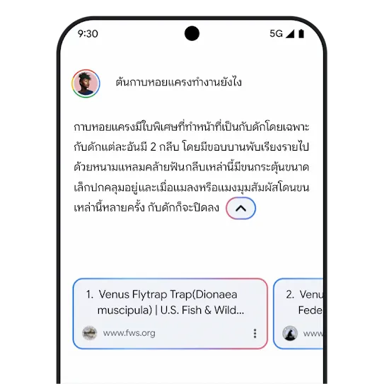 กราฟิกลิงก์ที่เกี่ยวข้องของ Gemini