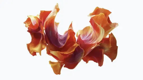 orange and red coral imagery