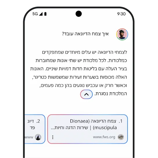 איור של קישורים רלוונטיים ב-Gemini