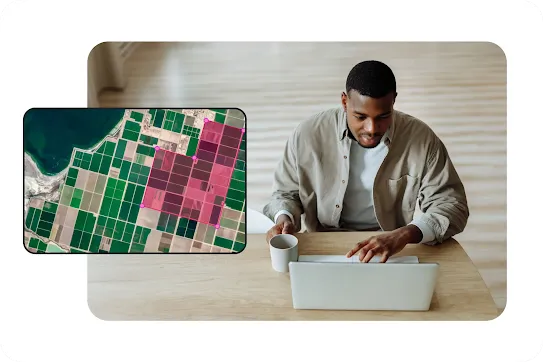 A high-angle shot of a man sitting at a light wood table, holding a coffee mug and using a white laptop. Layered over the left side of the scene is a graphic mockup window showing an aerial satellite view of green agricultural fields, with a specific section outlined in pink data points to indicate crop analysis or field mapping software.