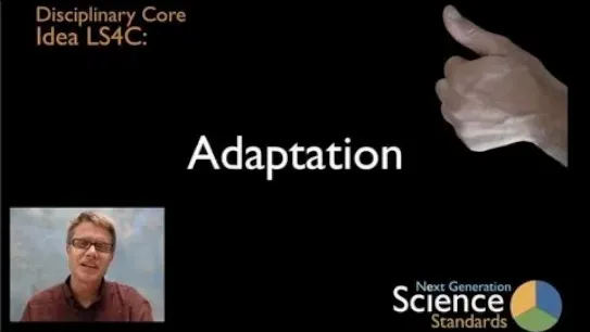 LS4C - Adaptation