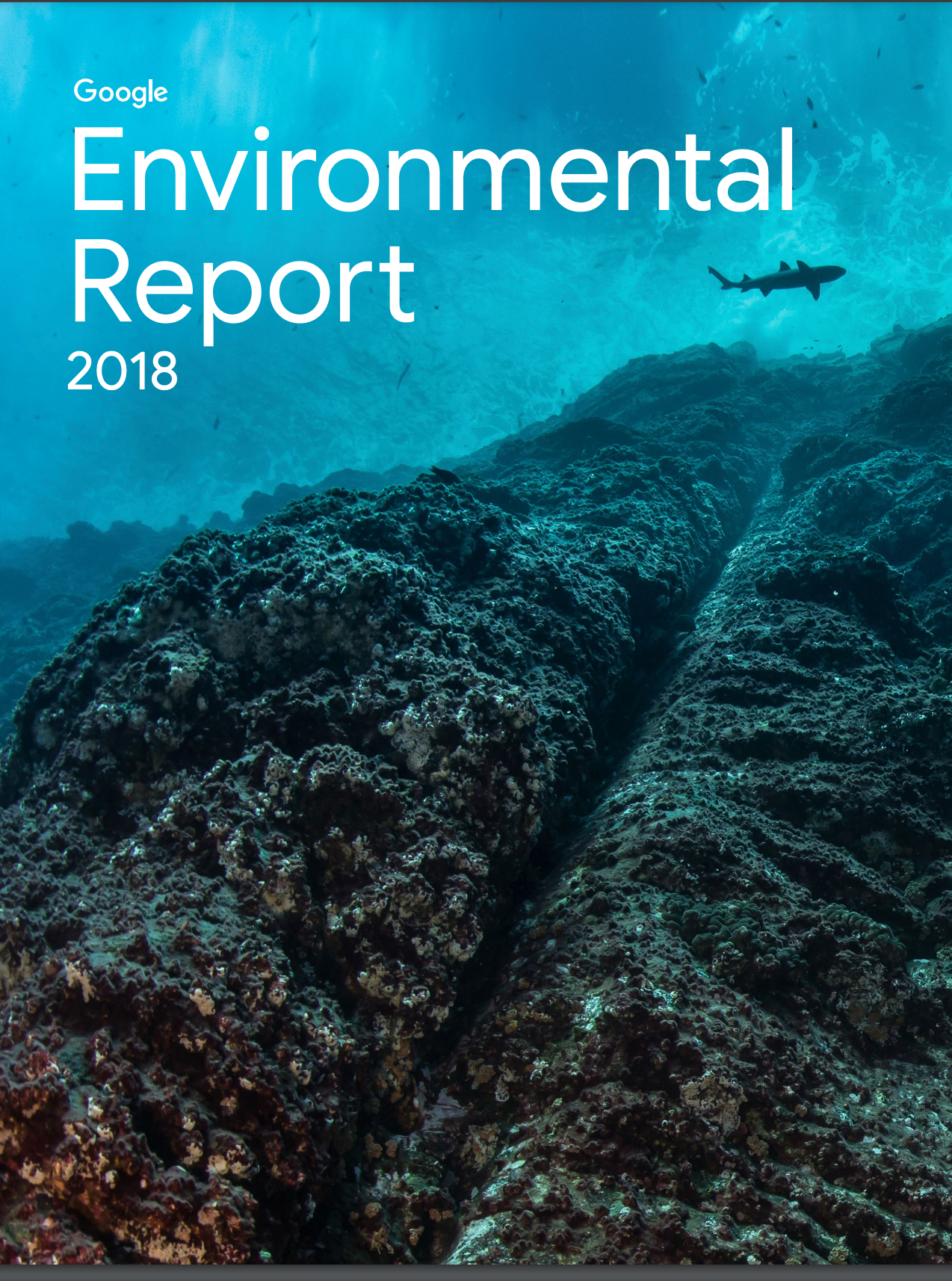 Cover image of the 2018 Environmental Report
