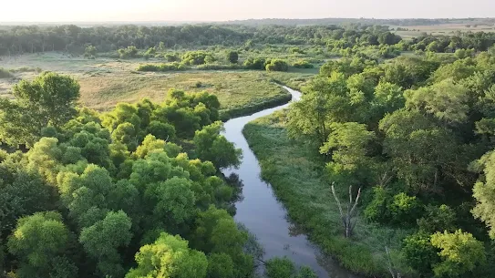 Aerial image of a river surrounded by grass and trees