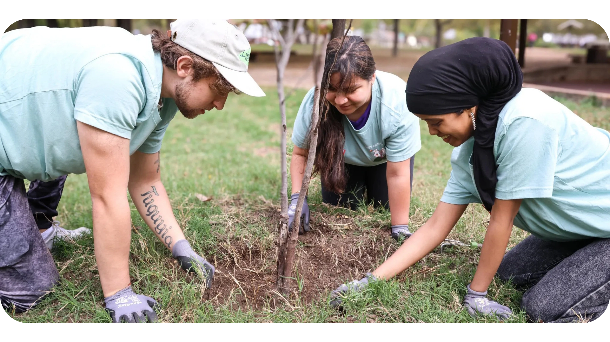 three people working together to plant a tree