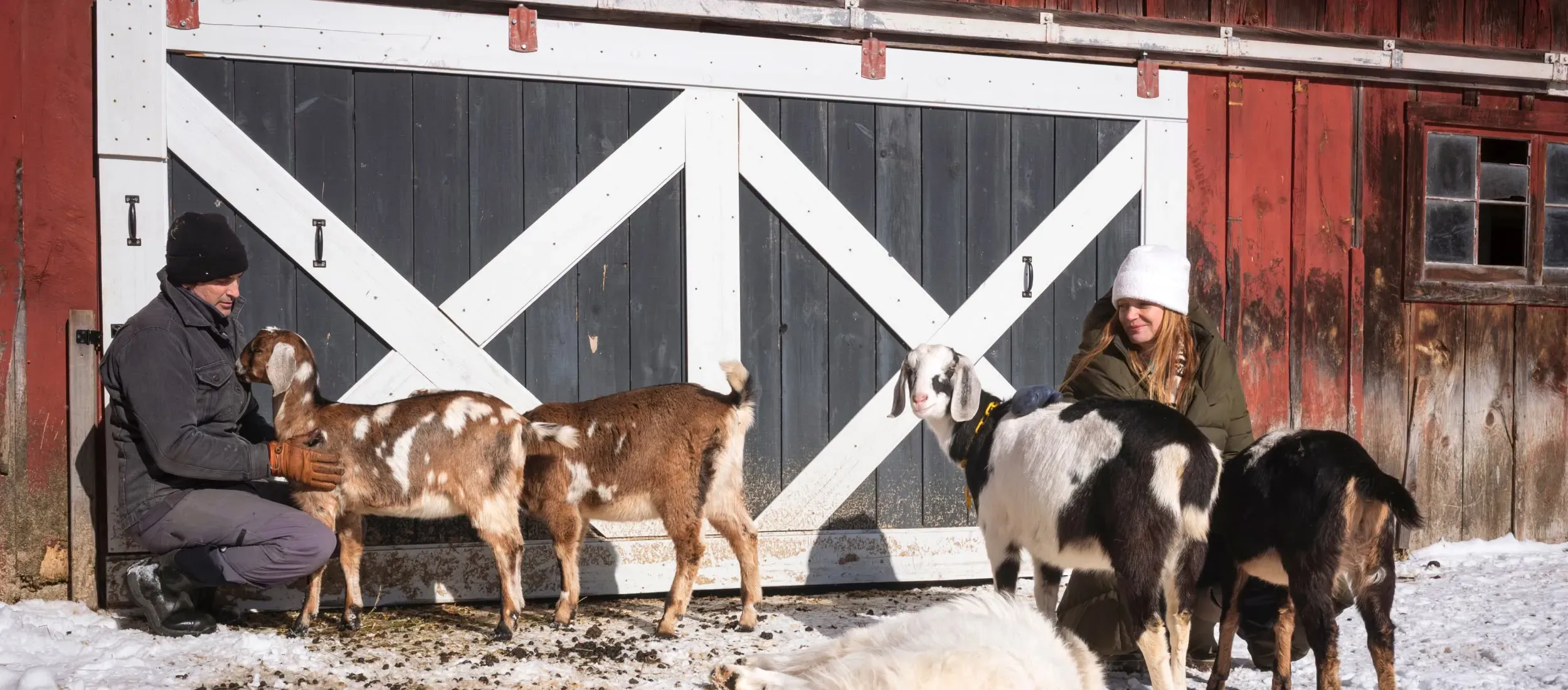 Image of Big Picture Farm, a small business in Townshend, Vermont