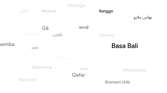 many languages shown