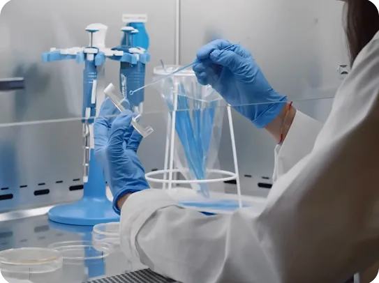 A scientist in a white lab coat and blue nitrile gloves working inside a sterile biosafety cabinet. They are using an inoculation loop to transfer a sample into a small container. Various laboratory tools, including pipettes on a blue stand and petri dishes, are visible in the clean, professional environment.