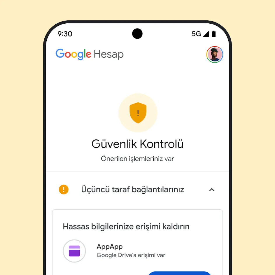 Google'ın Güvenlik Kontrolü kullanıcı arayüzünün resmi