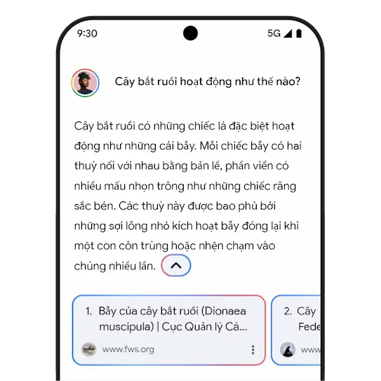 Hình ảnh minh hoạ các đường liên kết có liên quan trong Gemini