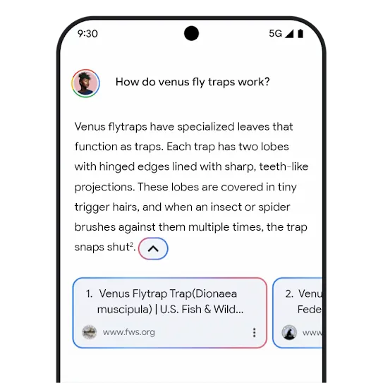 Gemini related links graphic