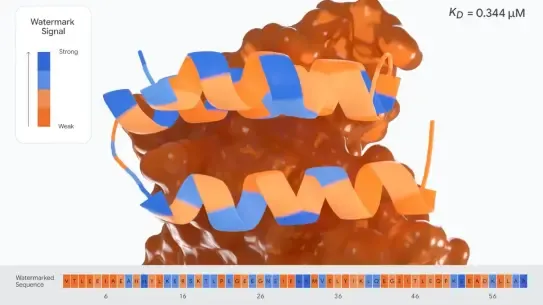 Visualization of the predicted structure of our watermarked VEGF-A protein binder with watermark signal indicated by color for each amino acid.