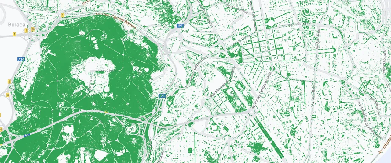 Carte indiquant le couvert végétal à Lisbonne, au Portugal