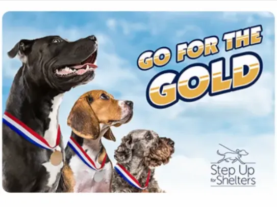 Go for the Gold challenge in WoofTrax where the more walks the dog owners log, the more flea-and-tick protection shelter dogs get