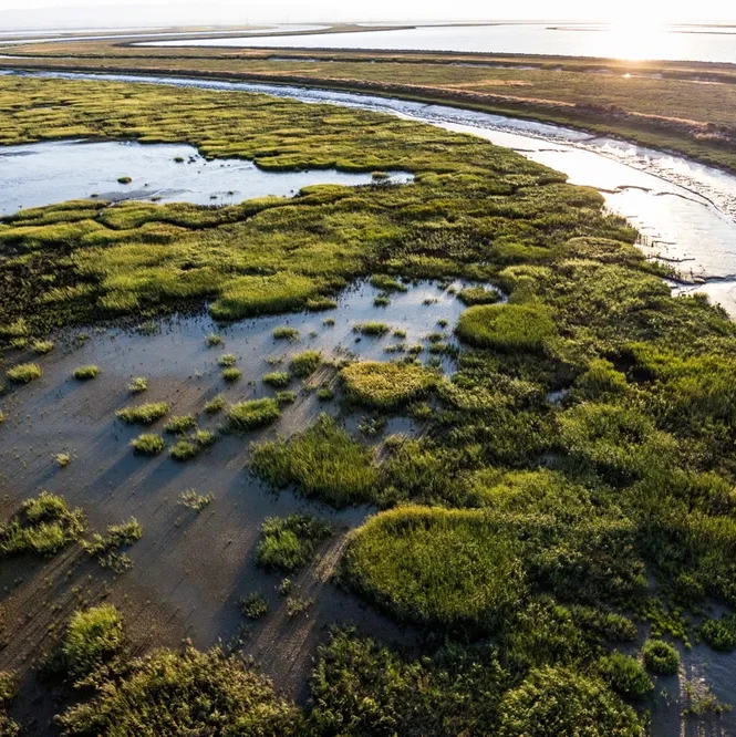 A photograph of Pond AI by Cris Benton, kite aerial photography