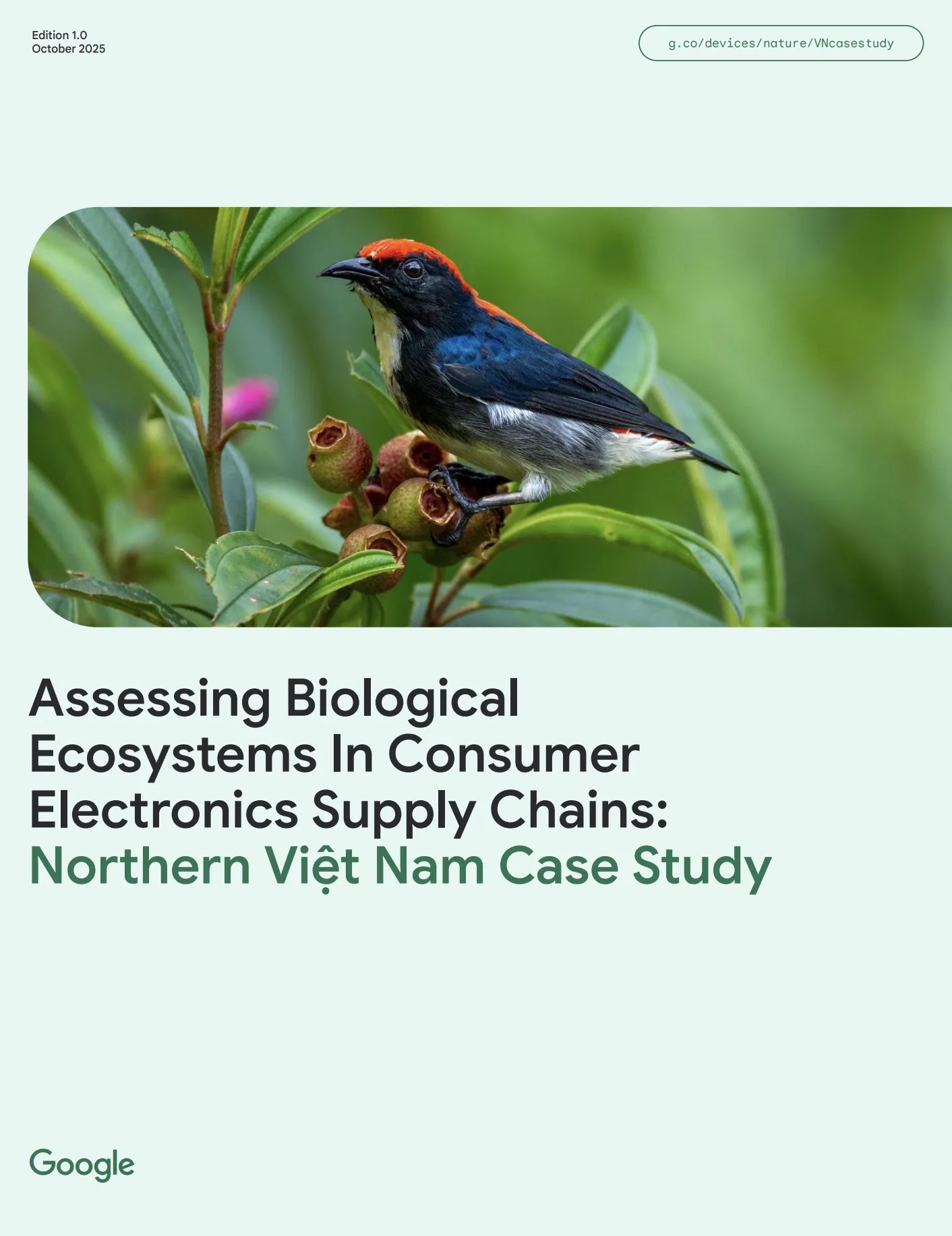 Cover image of Assessing Biological Ecosystems in Consumer Electronics Supply Chains: Northern Việt Nam Case Study