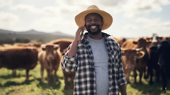 A smiliing farmer in a straw hat and plaid shirt talking on a smartphone in a field with a herd of cattle in the background.