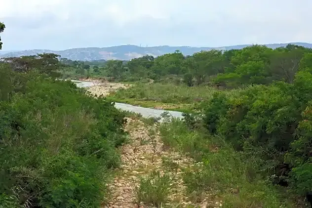 Cabot_Puente_internacional1.webp