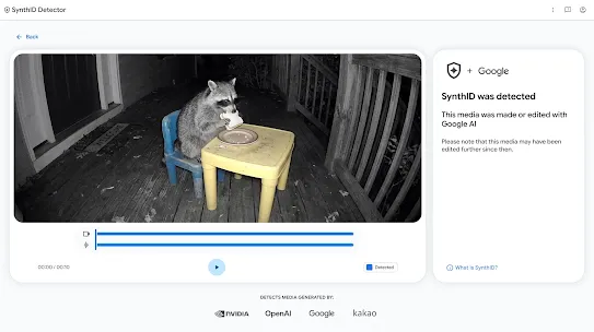 A screenshot of the SynthID Detector tool showing a video player with a night-vision video of a raccoon sitting and eating a sandwich