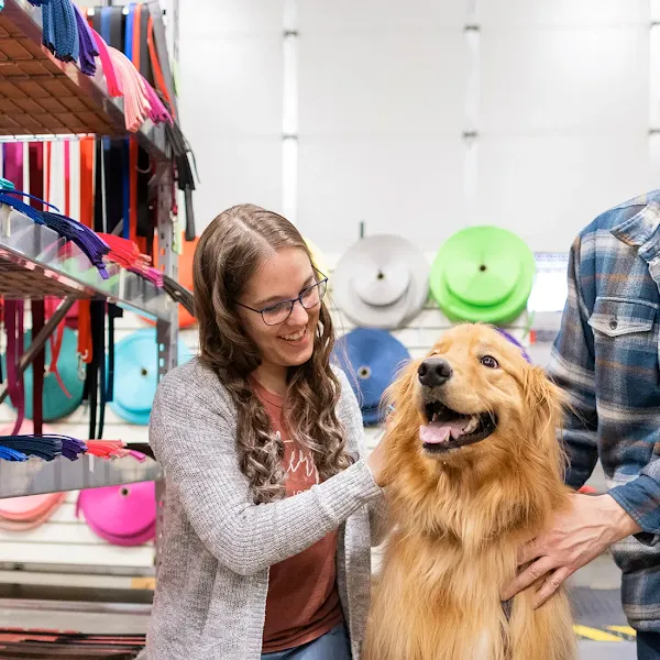 dogids-com-image-hr.webp