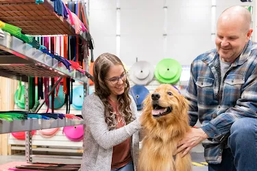 dogids-com-image-hr.webp