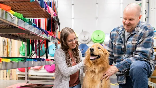 Image of dogIDs.com, a small business in 