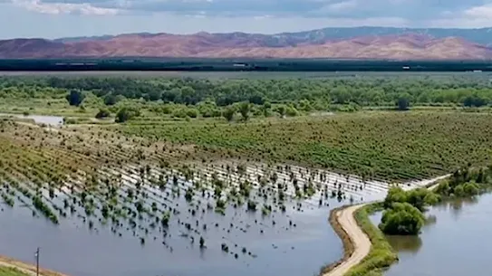 commitment to water stewardship.webp