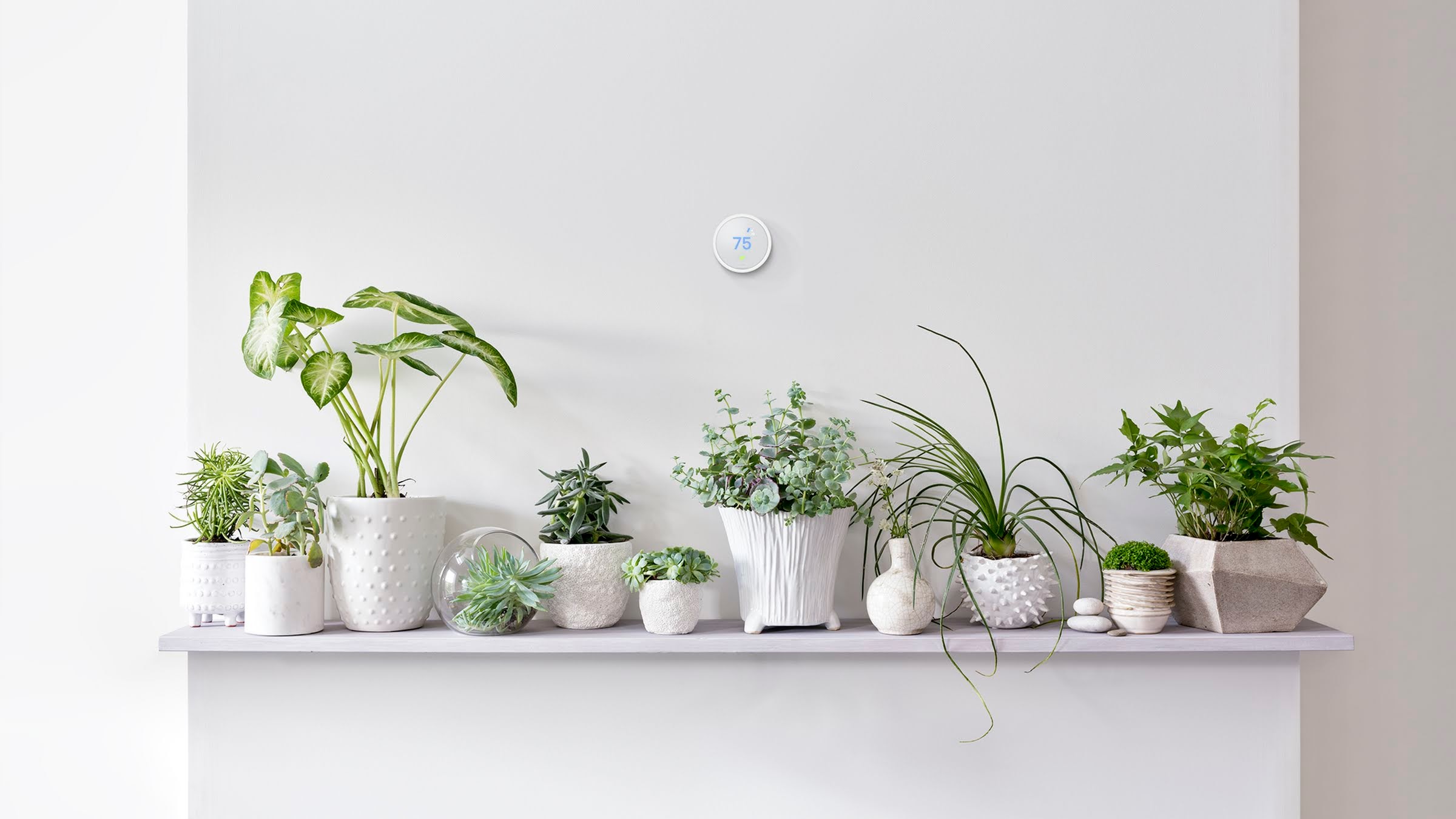 Nest Thermostat above plants