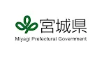 miyagi.webp