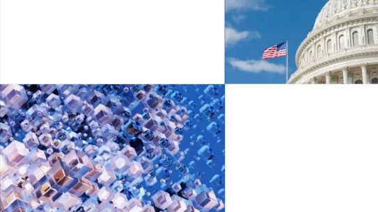 collage with capital building