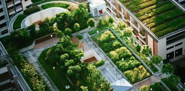 Building green cities