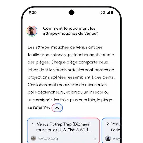 Graphique des liens connexes de Gemini