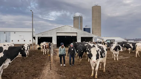 Image of Hansen’s Dairy, a small business in Hudson, Iowa