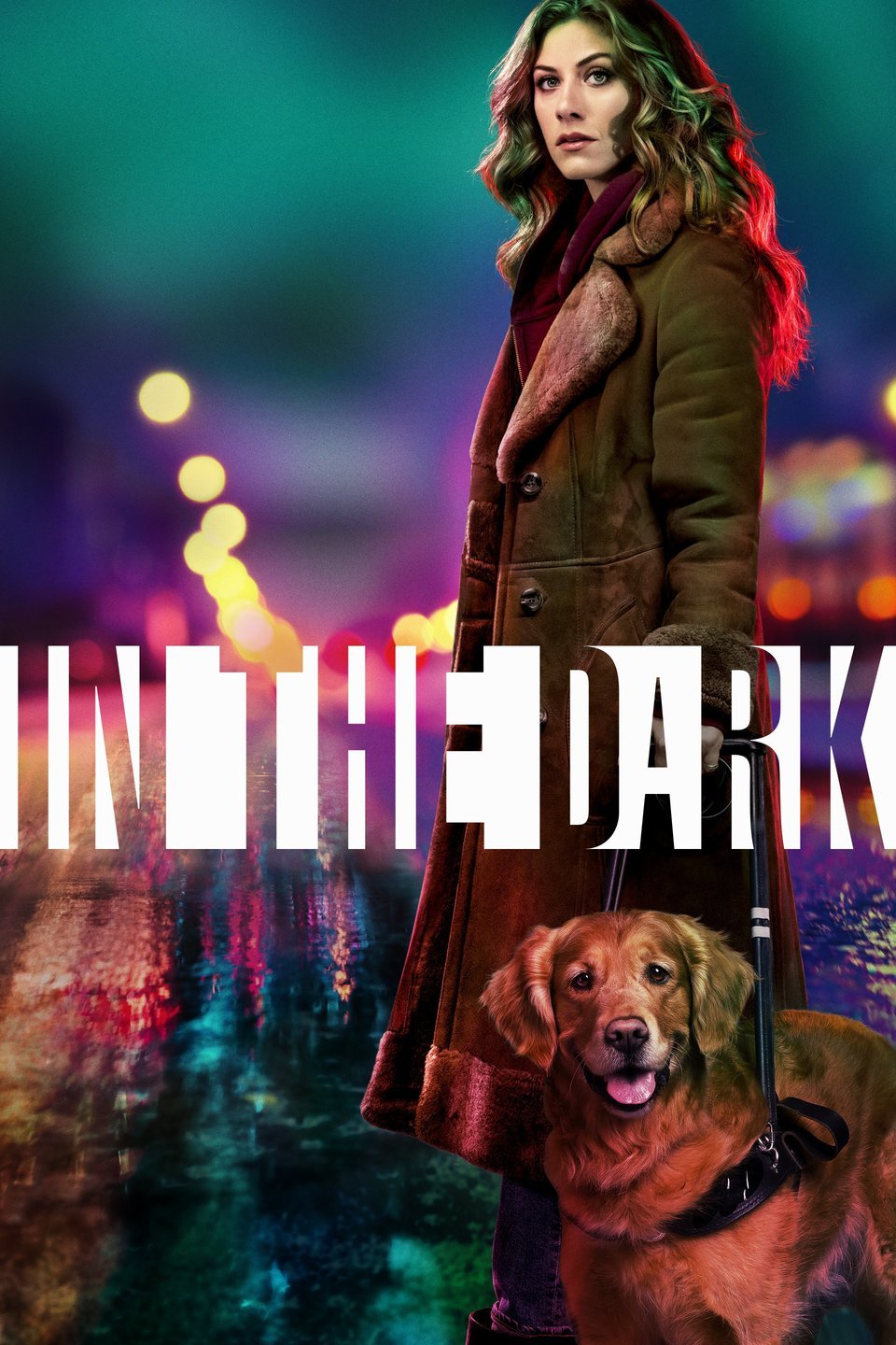 Image result for in the dark show