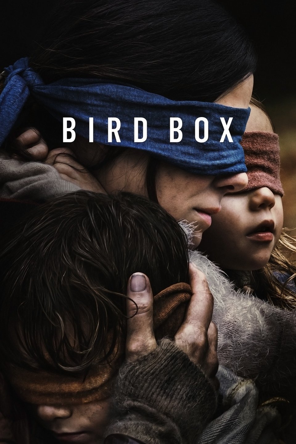 Image result for bird box