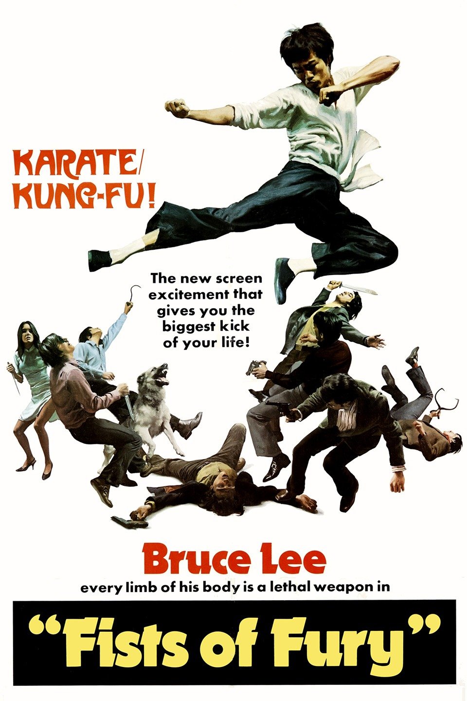 1972 Fist Of Fury