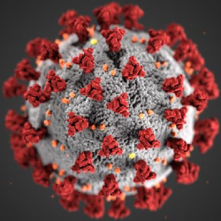 Image of Coronavirus